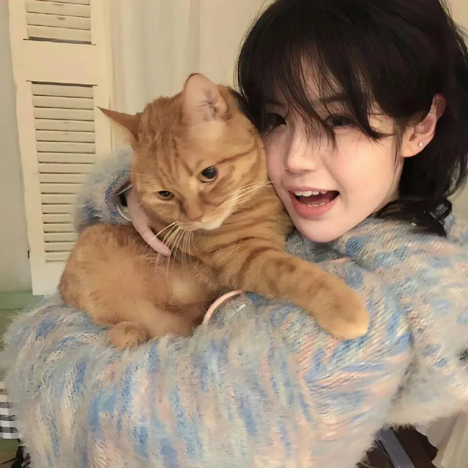 悲伤秘密的摇篮曲