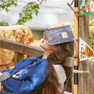 神枪手与智多星