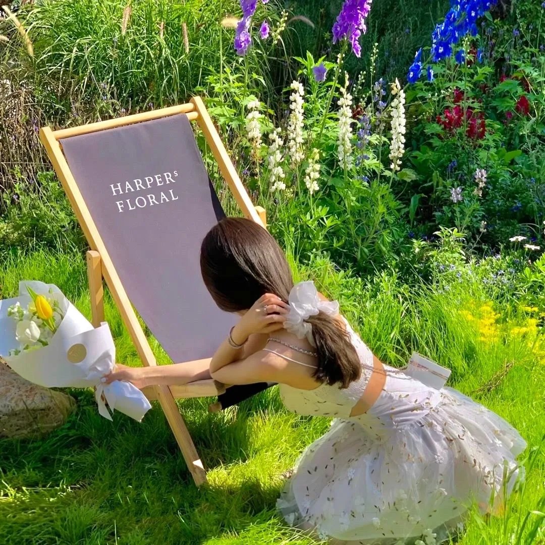 东陵大盗（二）